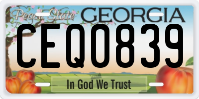 GA license plate CEQ0839