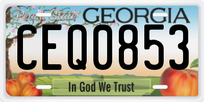 GA license plate CEQ0853