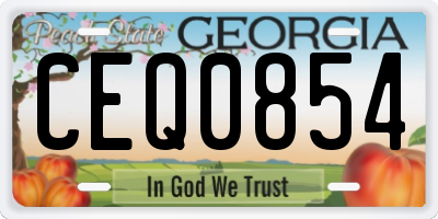 GA license plate CEQ0854
