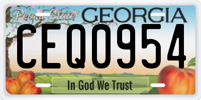 GA license plate CEQ0954