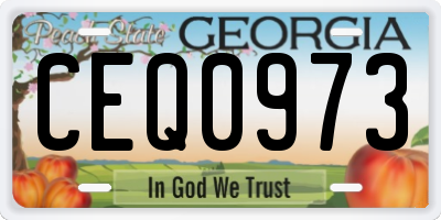 GA license plate CEQ0973