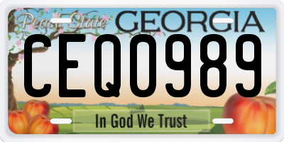 GA license plate CEQ0989