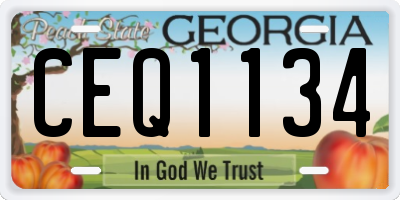 GA license plate CEQ1134