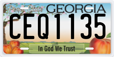 GA license plate CEQ1135