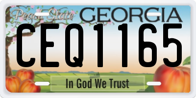 GA license plate CEQ1165
