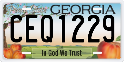 GA license plate CEQ1229
