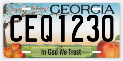 GA license plate CEQ1230