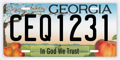 GA license plate CEQ1231