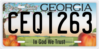 GA license plate CEQ1263