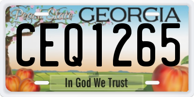 GA license plate CEQ1265