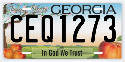 GA license plate CEQ1273