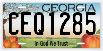 GA license plate CEQ1285
