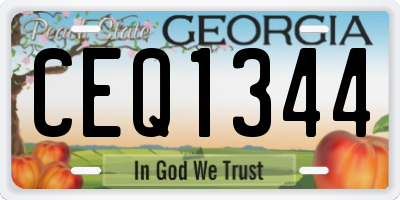 GA license plate CEQ1344