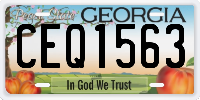 GA license plate CEQ1563