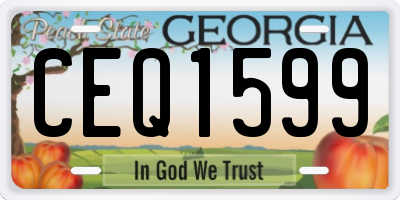 GA license plate CEQ1599