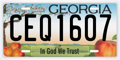 GA license plate CEQ1607