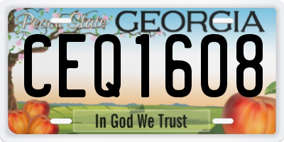 GA license plate CEQ1608
