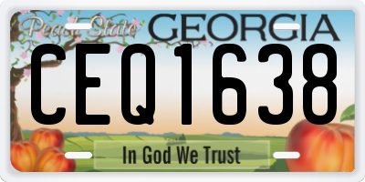 GA license plate CEQ1638
