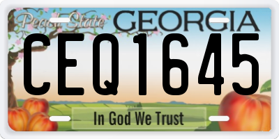 GA license plate CEQ1645