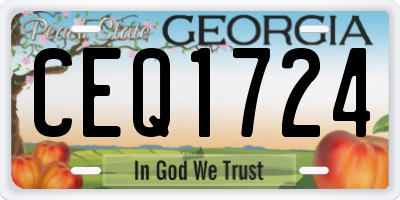 GA license plate CEQ1724