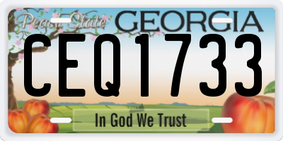 GA license plate CEQ1733