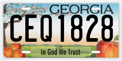 GA license plate CEQ1828