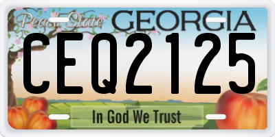 GA license plate CEQ2125