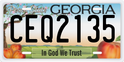 GA license plate CEQ2135