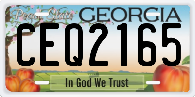 GA license plate CEQ2165