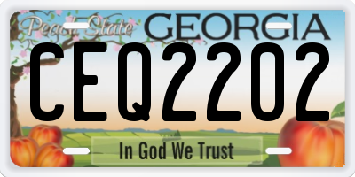 GA license plate CEQ2202