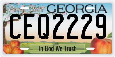 GA license plate CEQ2229