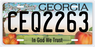 GA license plate CEQ2263