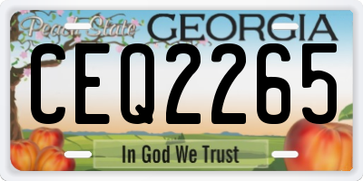 GA license plate CEQ2265