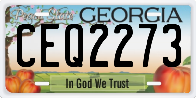 GA license plate CEQ2273