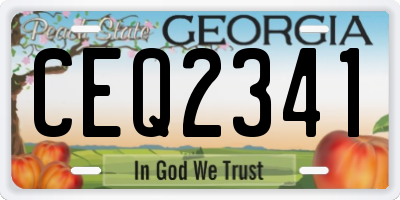 GA license plate CEQ2341