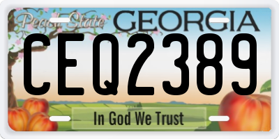 GA license plate CEQ2389
