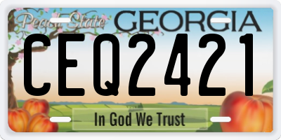 GA license plate CEQ2421