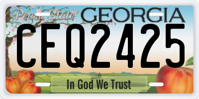 GA license plate CEQ2425