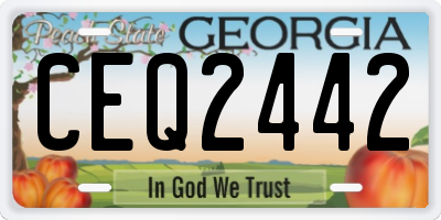 GA license plate CEQ2442