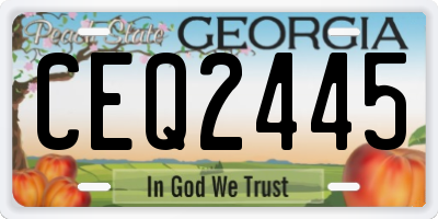 GA license plate CEQ2445
