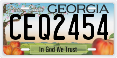 GA license plate CEQ2454