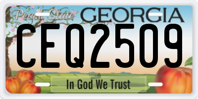 GA license plate CEQ2509