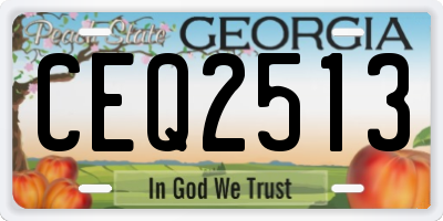 GA license plate CEQ2513
