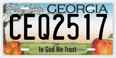 GA license plate CEQ2517