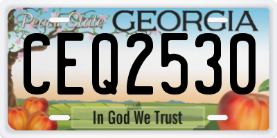GA license plate CEQ2530