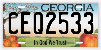 GA license plate CEQ2533