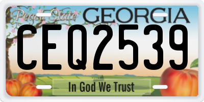 GA license plate CEQ2539