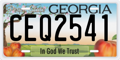 GA license plate CEQ2541