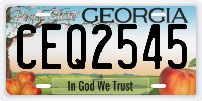 GA license plate CEQ2545