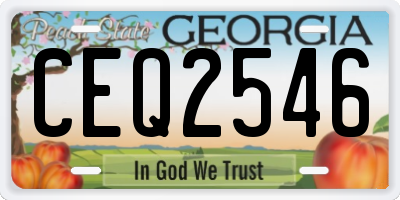 GA license plate CEQ2546